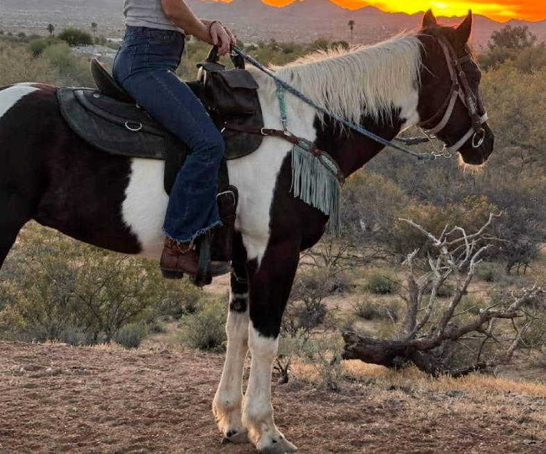 Domino, a black and white paint horse at Catalina Riding Club in Tucson, Arizona